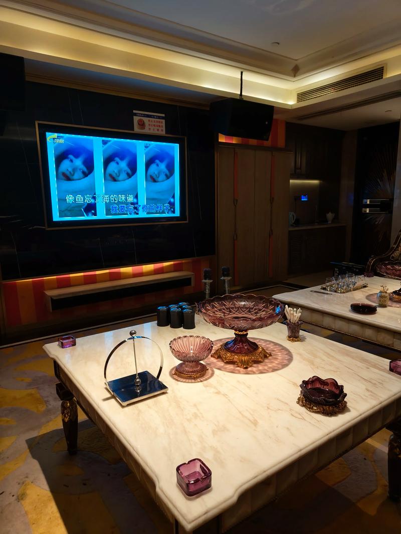 开封商务ktv收费标准-通许县ktv预定